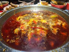 -蜀滋香鲜鱼美蛙火锅(339店)