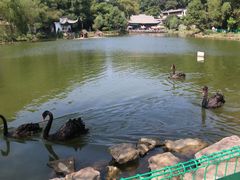 20141006114356_IMG_2751-团城山公园