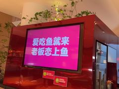 -老板恋上鱼(恒隆广场店)