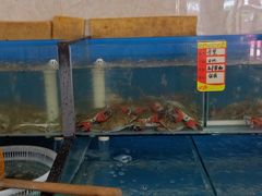 -渔民船说·北塘海鲜·天津菜·海肠捞饭(北塘古镇店)
