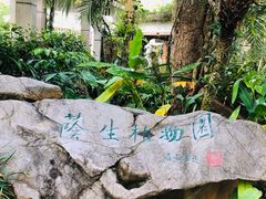 -中国科学院西双版纳热带植物园
