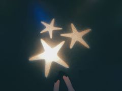 -暹罗海洋世界