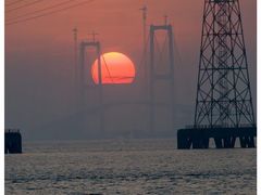 -福田红树林生态公园