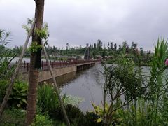 -枫香湖儿童公园