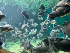 -福州罗源湾海洋世界旅游区