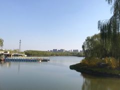 -大兴滨河森林公园