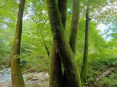 -丹东天桥沟景区