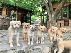 -北京水岸山吧度假村(雁栖镇店)