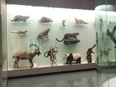 -国家自然博物馆