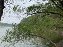 -东湖落雁景区