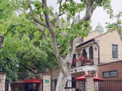 -玫瑰厅上海菜(兴国路店)