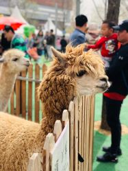 -萌宠亲子动物乐园(槐房万达店)