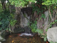-深圳香格里拉酒店