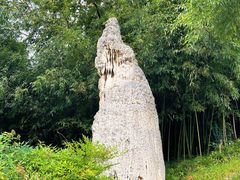 -南京市江宁方山