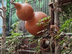 -呀路古热带植物园