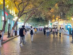 -华梅西餐厅(哈尔滨中央大街店)