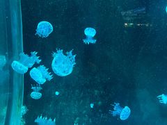 -欢乐海岸海洋奇梦馆