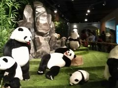 -成都泰迪熊博物馆