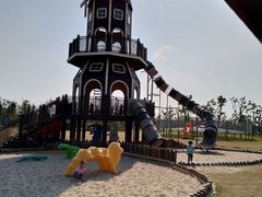 -上海长兴岛郊野公园