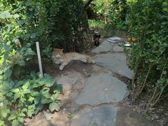 -李叔同故居纪念馆