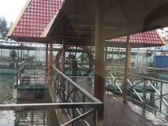 -东江湖游水三文鱼美食城