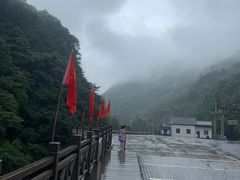 -湖州龙王山景区