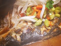 -探鱼·鲜青椒爽麻烤鱼(中山大信新都汇店)