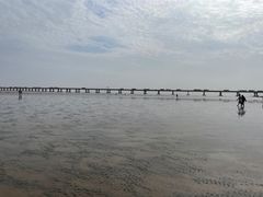 -南汇新城海滩