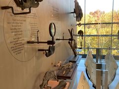 -美国自然历史博物馆