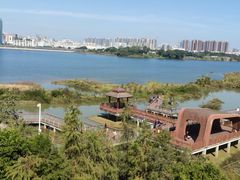 -立新湖公园
