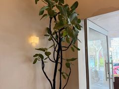 -小团圆糖水铺(襄阳南路店)