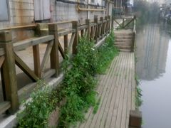 android_upload_pic-绍兴书圣故里景区