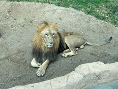 -北京野生动物园