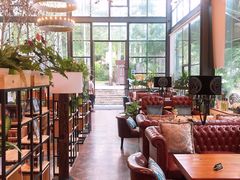 大堂-桉树林A coffee 森林餐厅(三圣乡店)