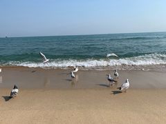 -海云台海滩