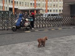 -上海市曹杨职业技术学校