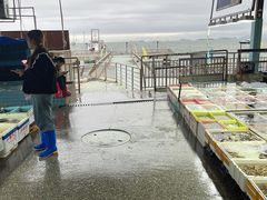 -霞涌市场海鲜摆卖区