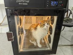 -中农国际动物医院24小时·猫科·骨科·急重症中心