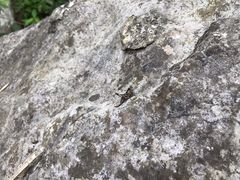 -华蓥山天意谷景区