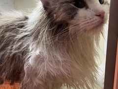 -听TA说宠咖·宠物生活馆(天韵水岸店)