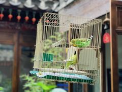 -束河人家(南锣鼓巷店)