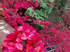 -乐山大佛风景名胜区乌尤寺南门-售票点