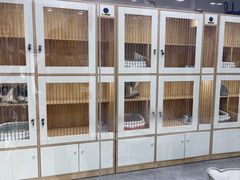 -爱洗澡的猫(天河路店)