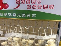 -紫光园(燕郊总店)