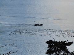 -东极岛景区