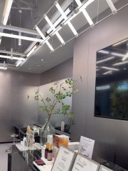 -东方麒麟·潘多拉SALON