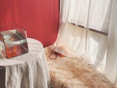 -五一换装自拍馆