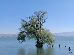 -大理洱海