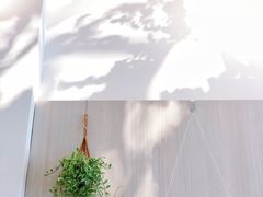 -尤加利咖啡馆