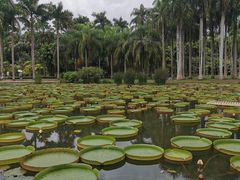 -中国科学院西双版纳热带植物园